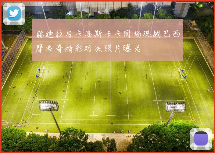 赫迪拉与卡洛斯卡卡同场观战巴西摩洛哥精彩对决照片曝光