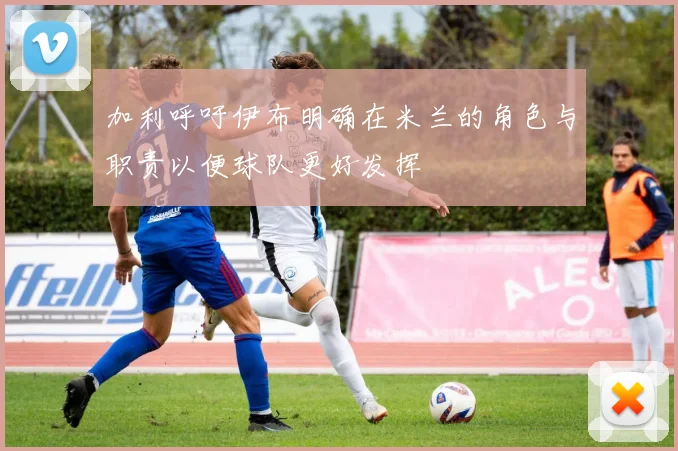 加利呼吁伊布明确在米兰的角色与职责以便球队更好发挥