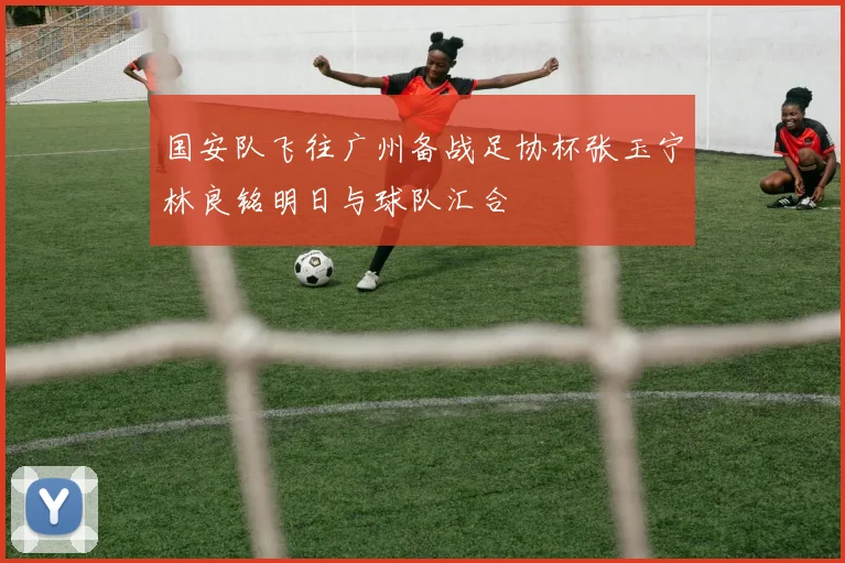 国安队飞往广州备战足协杯张玉宁林良铭明日与球队汇合
